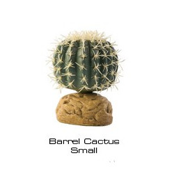 Barrlen Cactus small