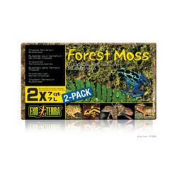 ExoTerra Forest moss