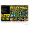 ExoTerra Forest moss